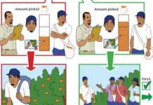 Comic Contracts – helping workers understand their employment contracts Comic Contracts by Robert de Rooy