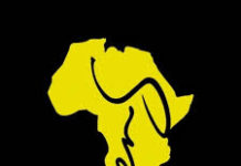 ENSafrica opens doors in Mauritius