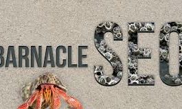 Barnacle SEO: What is it? & Why Law Firms Need It
