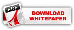 download white paper on the new normal deltek