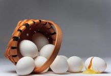 Business Advice for Law Firms – Eggs in one basket Don't put all your eggs in one basket