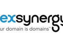 Lexsynergy to Launch Webinar Series Dedicated to New Domain Name Extensions