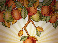 Market to Low Hanging Fruit First Market to your existing clients first