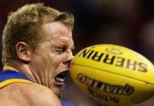 Rugby Geniuses – Humour