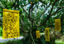 Need Your PPC Campaign to Convert? A Sticky Landing Page Is the Key
