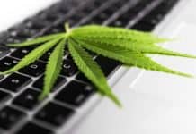 The impact of cannabis in the workplace Weed at work