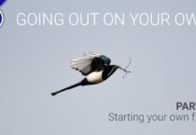 Going out on your own – Part Two Starting your own law firm AJS