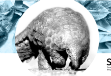 In-Depth Report about Financial Flows Associated with Illegal Wildlife Trade in South Africa SAMLIT on Wildlife trade