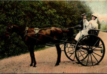 That is Once… Farmer and new wife in horse drawn buggy