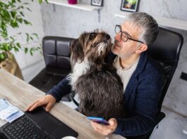 Lawyers: Working Smart Just Got Easier (Oh No!) computer dog lawyer