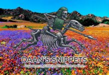 Daan’s Snippets – 16th August 2026 Daan in Namaqua flowers