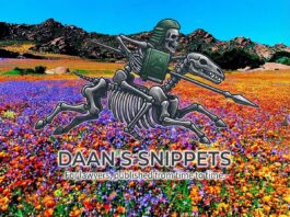 Daan’s Snippets – 16th August 2026 Daan in Namaqua flowers