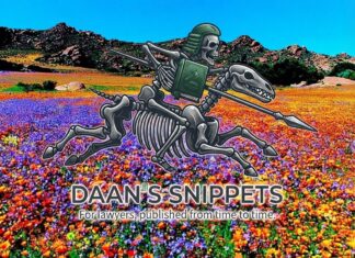 Daan in Namaqua flowers