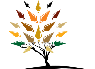 LPC Examination Results Analysis – October 2026 LPC-LOGO
